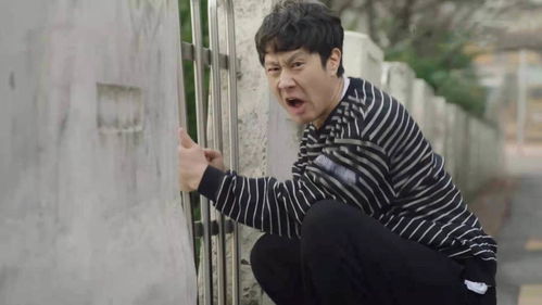 镇龙传说上映时间 镇龙热播短剧全集剧情--第1张