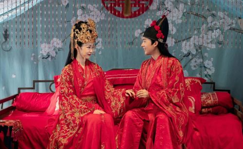 先婚后爱免费读 先婚后爱之亡夫归来热播短剧全集剧情--第1张