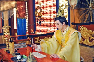 技师百度百科 技师豪婿，热播短剧全集剧情--第1张