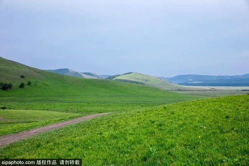 抛夫弃女6年求复婚完整版，女战神后悔一辈子，剧情引人入胜--第1张