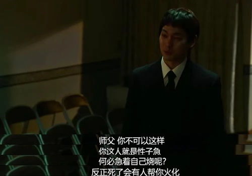 重启之传奇人生热播短剧全集剧情 重启人生在线播放--第1张
