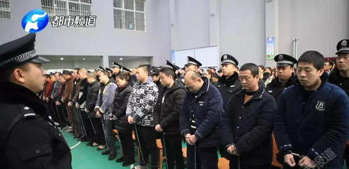 黑暗之光全集，卢C鹿鹿的复仇之路--第1张