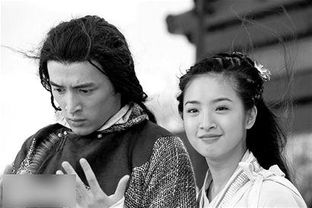 隐龙之护妻高手全集剧情介绍--第1张