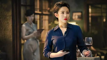 傻子龙婿第二部，龙婿归来--第1张
