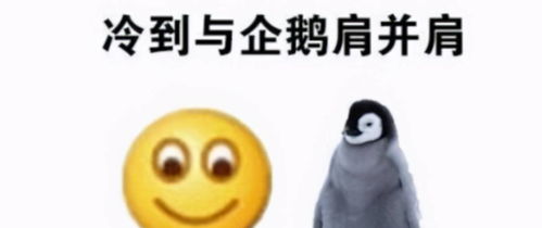 被渣后我成了大佬的心上人免费阅读 被渣后年下大佬把我宠上天，热播短剧全集剧情--第1张