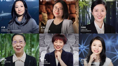 无上百度百科，全集剧情揭秘--第1张