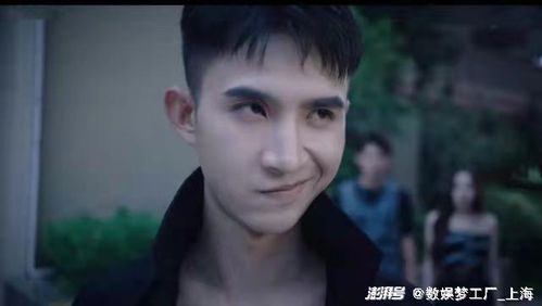 豪门恩怨，升龙我本传奇--第1张