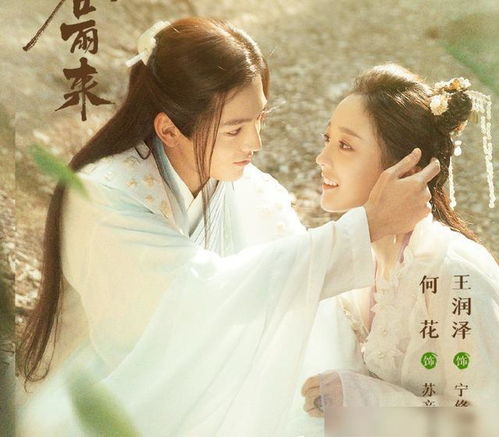 羽翼天下，短剧全集在线观看--第1张