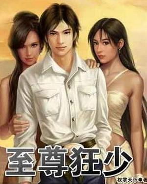 豪门至尊大少在线阅读，豪门龙少传奇人生--第1张