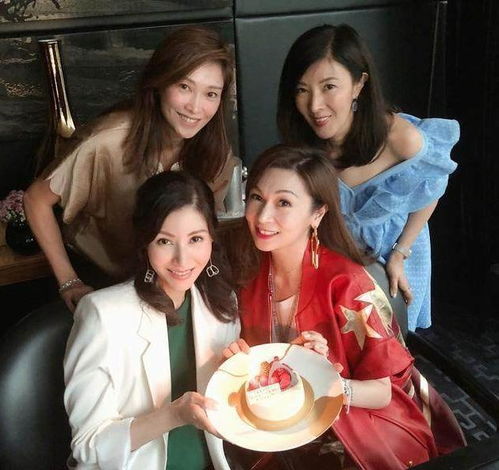 穿越种田，丑农妇的逆袭之路--第1张