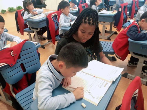 赘婿陈北大结局是什么_赘婿北上成功了吗--第1张