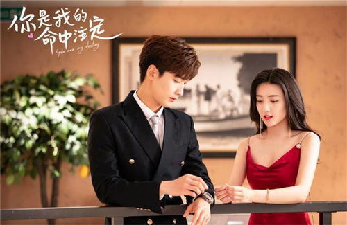 先婚厚爱穆南风在线观看--第1张