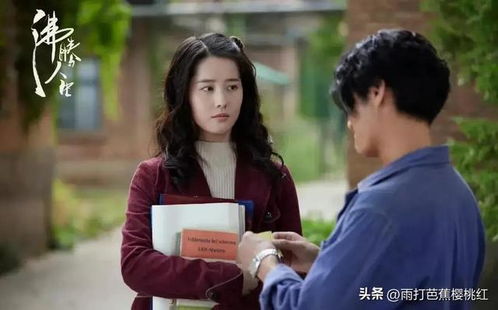 重生之沸腾人生第二季在线观看，重生之沸腾人生热播短剧全集剧情--第1张