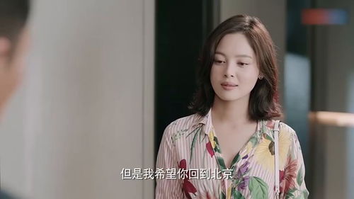 离婚后的前妻小说 离婚后高傲前妻悔恨终生，热播短剧全集剧情在线观看--第1张