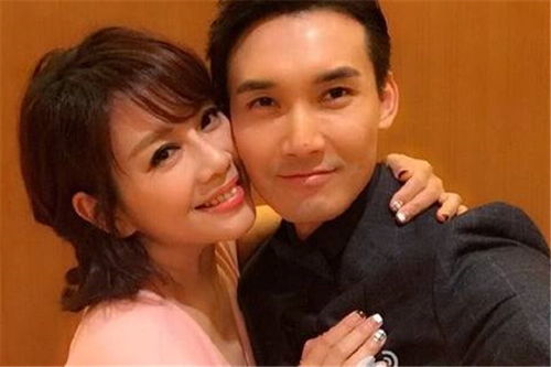 离婚后大明星老婆后悔了全集剧情在线观看，离婚后的明星夫妻--第1张