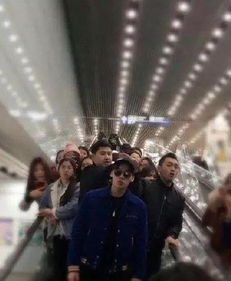 五年后她与崽崽强势回归，强势回归短剧全集在线观看--第1张