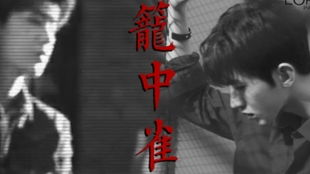 笼中雀全集免费观看--第1张