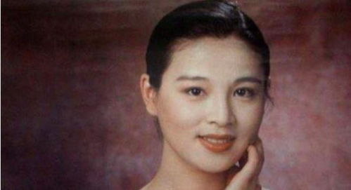 被离婚以后小说 离婚后我被美女包围了--第1张