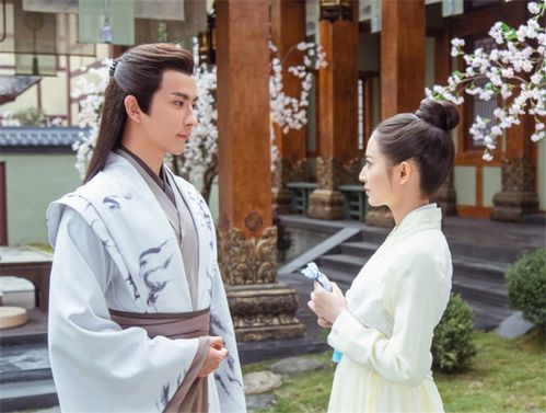 将军妃你不可热播短剧下载--第1张