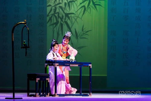 九星统帅，热血短剧全集在线观看--第1张
