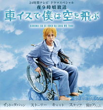 飞上蓝天全集剧情在线观看，蓝天下的奇遇记--第1张