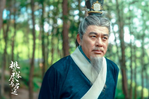 大乾帝君热播短剧全集在线观看，大乾帝君剧情解析--第1张