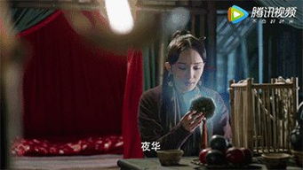 夫人太撩人傅总沦陷了短剧观看平台 夫人boos太偏执--第1张