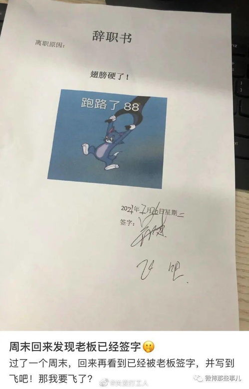 老板，我要离职创业，打造长篇短剧观看平台--第1张