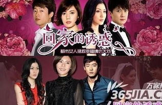 迷人的电视剧 迷人的刺短剧观看平台--第1张