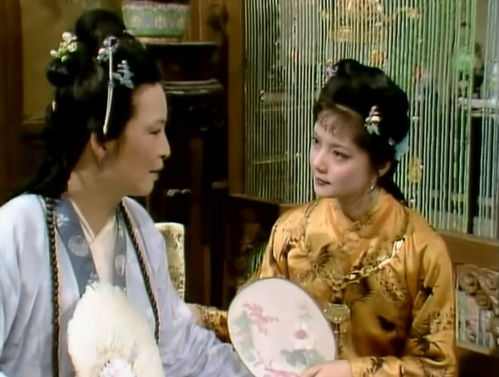 硬核娇妻，四爷夫人闹市与人打架，小作精闹翻天！--第1张