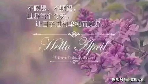 等不到你的晚安短剧免费观看平台推荐--第1张