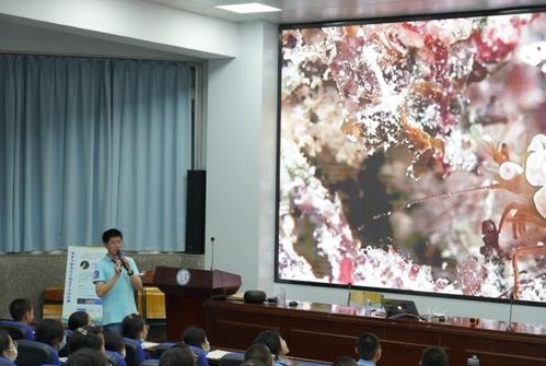 我不是神仙短剧平台，让你随时随地观看精彩短剧--第1张