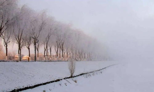 雪落下的声音 免费 雪落下的声音短剧，观影新体验--第1张