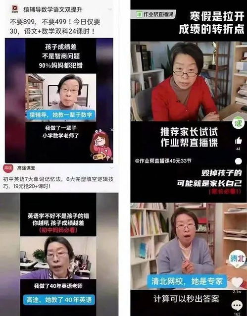 盛夏的复仇短剧观看平台有哪些 盛夏的复仇短剧观看平台--第1张