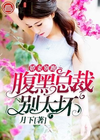 腹黑总裁惹不起，娇妻，别乱来！--第1张