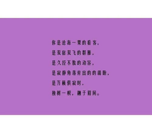 对你一往情深歌词 对你一往情深短剧观看平台--第1张