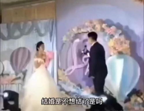 天后从前男友婚礼现场开撕短剧观看平台 天后cp，天后与前男友的恩怨情仇大揭秘--第1张