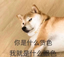 我再也不谈恋爱了表情包 我再也不想恋爱了，我有九千万亿舔狗金短剧观看平台--第1张