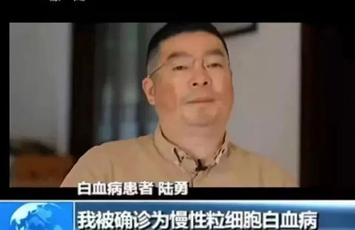 陆太太捡来的乌鸦嘴短剧观看平台--第1张