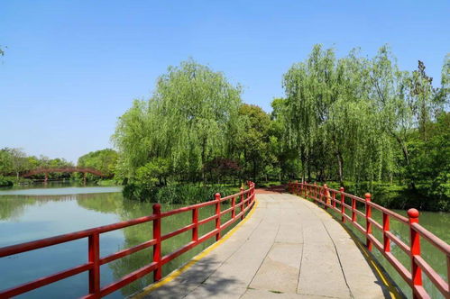 千金归来她带着四宝惊艳全城大小姐驾到免费在线观看平台--第1张