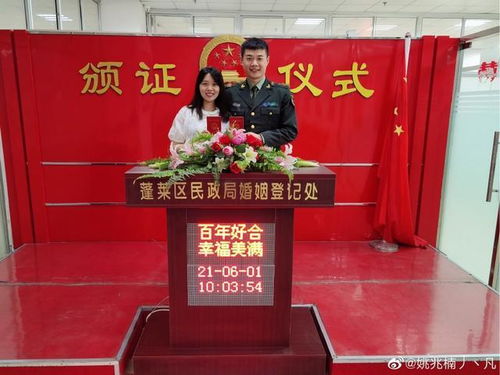 厉少的双面娇妻短剧观看平台 厉少双宝--第1张