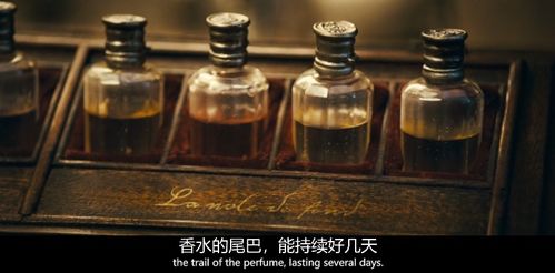 极乐香水短剧观看平台 极乐香的--第1张