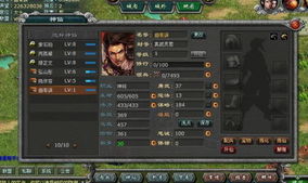 神之无敌全集 无敌神之手短剧，独家观看平台推荐--第1张