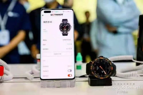 王爷要升职短剧观看平台 王爷升级后是什么--第1张
