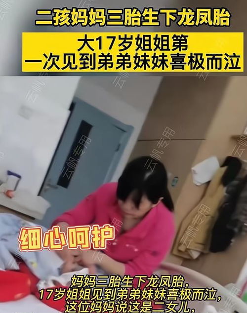 一胎二宝妈咪哪里跑无弹窗，一胎二宝短剧观看平台，精彩不容错过--第1张