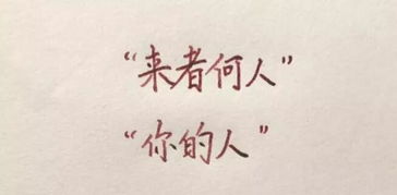 爱你不问归期短剧免费观看平台--第1张