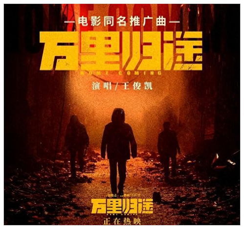 万里归途短剧，观影新宠，尽在精选平台在线观看--第1张