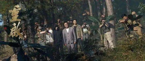  山野七叔之江城八十一号短剧观看平台--第1张