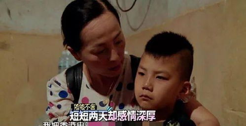 豪门恩仇 豪门恩宠我呗思聪看上了短剧观看平台--第1张