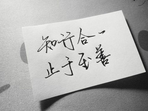 以我深情祭余生--第1张